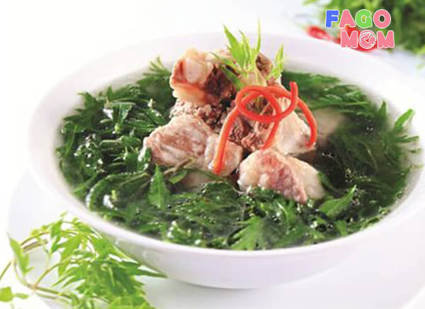 Cháo chân giò móng heo lá đinh lăng giúp thông tắc tia sữa