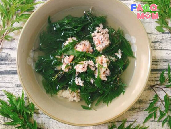 Thông tắc tia sữa bằng lá đinh lăng