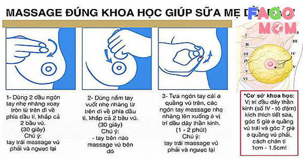 Sử dụng phương pháp massage để gọi sữa về hiệu quả
