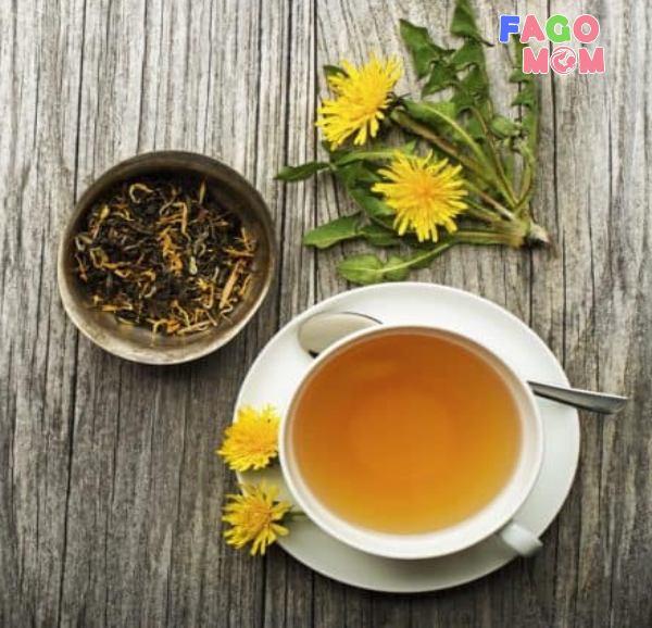 Sử dụng bồ công anh khô để thông tắc tia sữa
