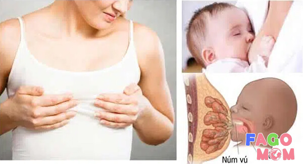 Hướng dẫn phòng tránh bị nứt đầu ti ở mẹ